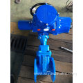 Electric Gate Valve DIN/BS Double Flange Non-Rising Stem